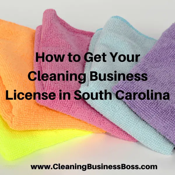 How to Get Your Cleaning Business License in South Carolina Cleaning