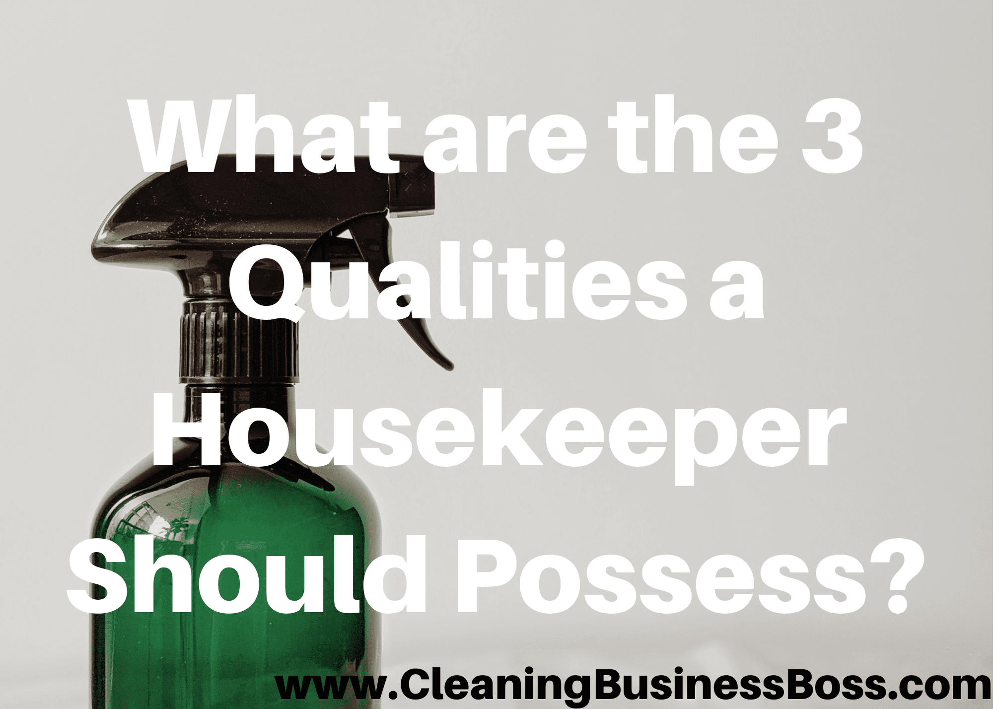 What Are The 3 Qualities A Housekeeper Should Possess? 