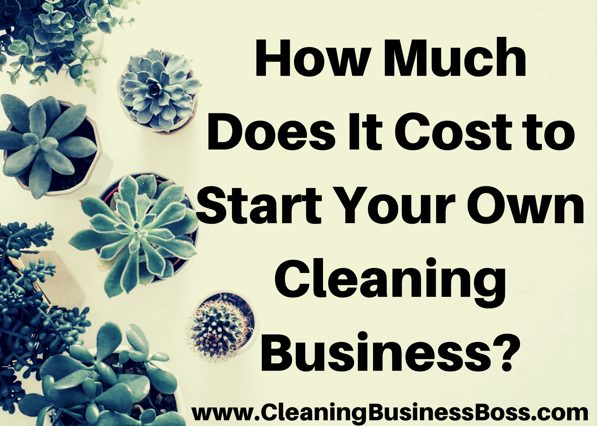 How Much Does It Cost to Start Your Own Cleaning Business?