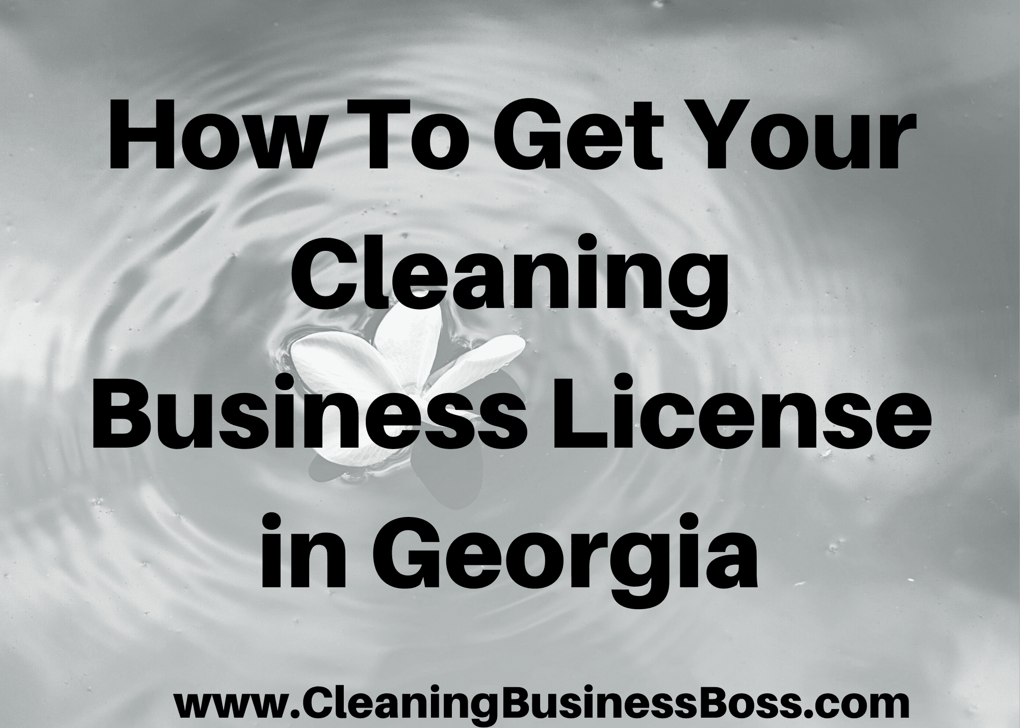How toget your cleaning business license in Georgia