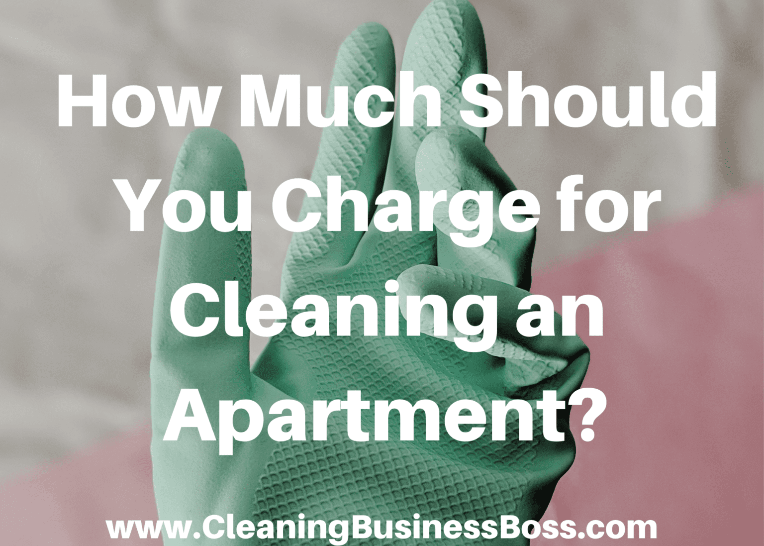 How Much Should You Charge for Cleaning an Apartment? Cleaning