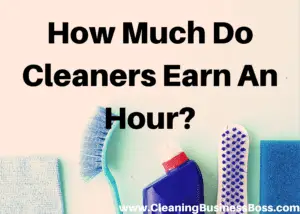 How Much Do Cleaners Earn An Hour 