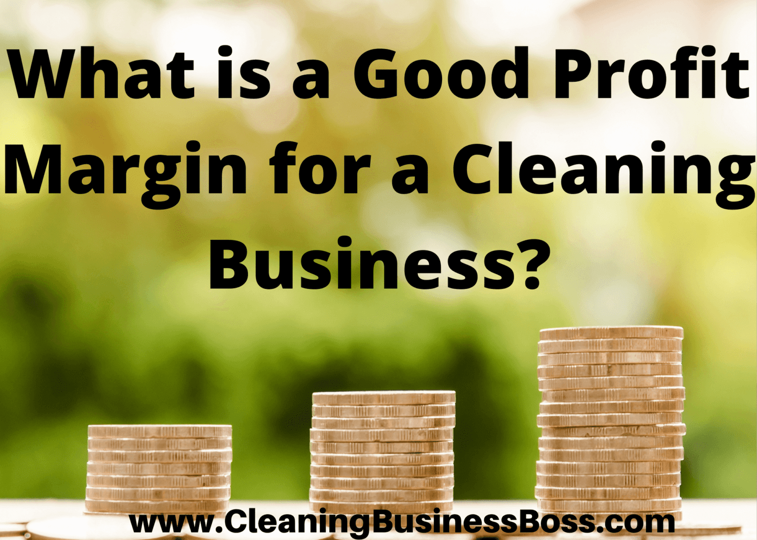 We Answer What Is A Good Profit Margin For A Cleaning Business 