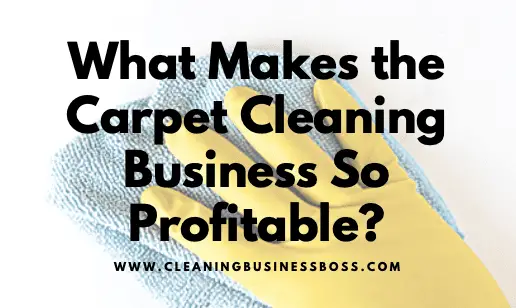 What Makes the Carpet Cleaning Business So Profitable?