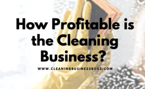 How Profitable is the Cleaning Business?