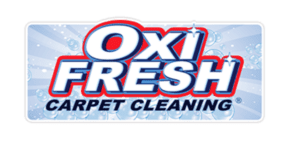 What is the cheapest cleaning franchise to start?
