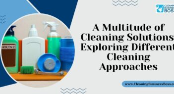 A Multitude of Cleaning Solutions: Exploring Different Cleaning Approaches